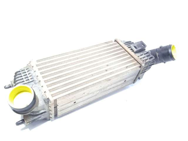 9683009680 Peugeot/Citroen