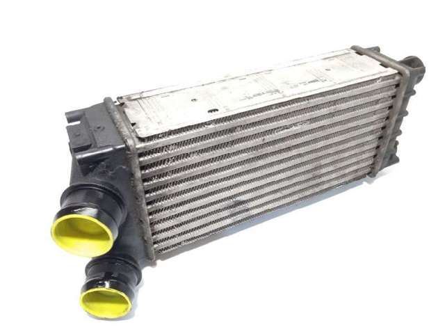 9684212480 Peugeot/Citroen