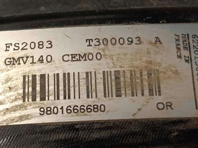 9801666680 Peugeot/Citroen