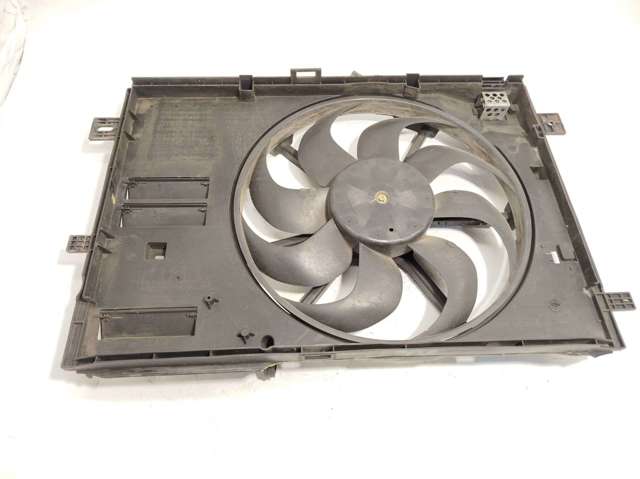 9806313580 Peugeot/Citroen