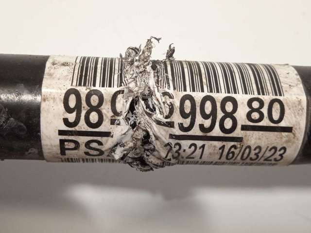 9806699880 Peugeot/Citroen