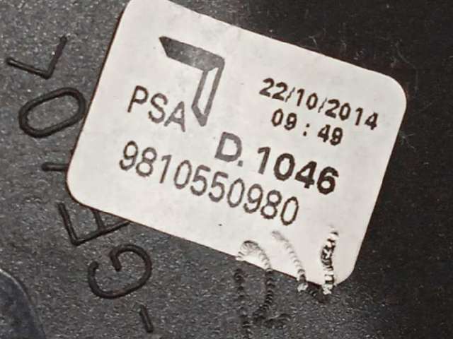 9810550980 Peugeot/Citroen