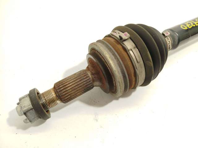 9811933980 Opel