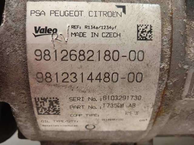 9812314480 Peugeot/Citroen