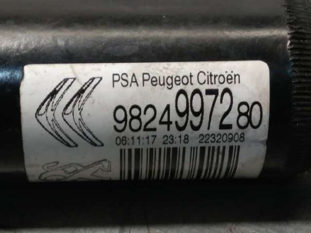 9824997280 Peugeot/Citroen