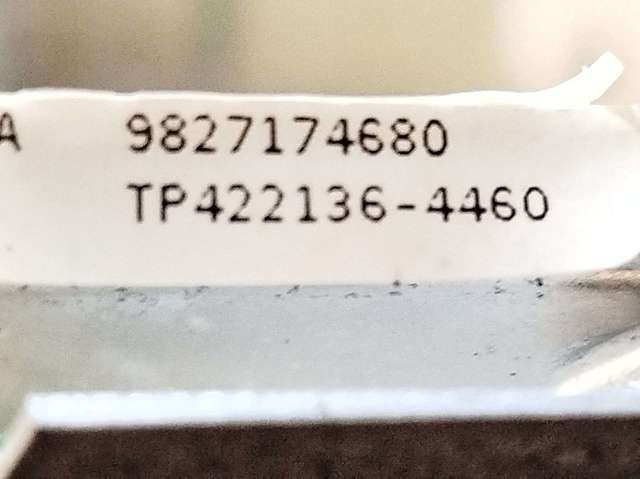 9827174680 Peugeot/Citroen