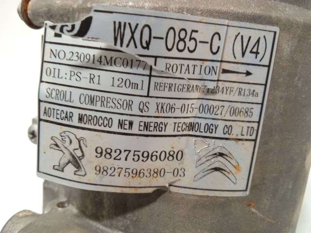 9827596080 Peugeot/Citroen