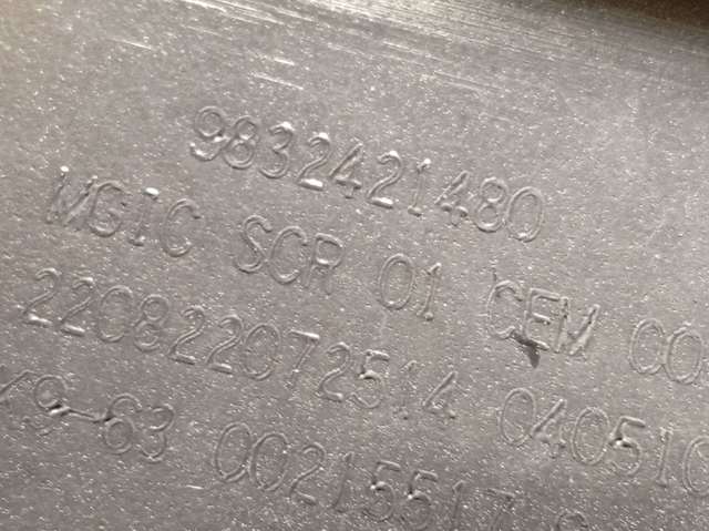 9832421480 Peugeot/Citroen