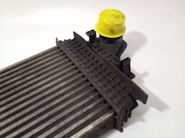 A1645001900 Intercooler  comprar en Zaragoza