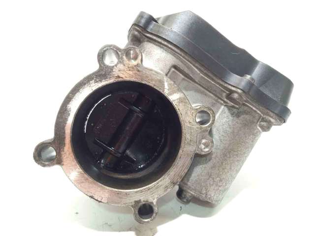 A2C53030936 Cuerpo de mariposa comprar Girona