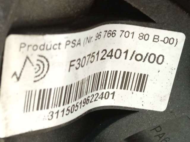 F307512401 Peugeot/Citroen