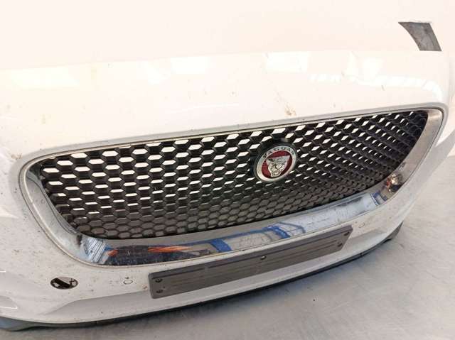 T4A5644LML Jaguar