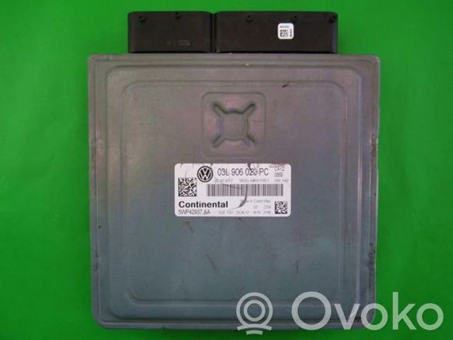 03L906023PC VAG