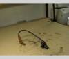 Sensor de posición del cigüeñal Peugeot 605