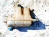 Botella expansion Audi A6 Allroad C6