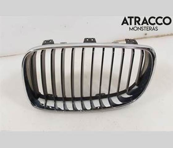 Panal de radiador izquierda 51710441921 BMW