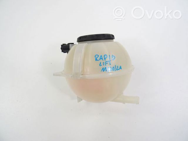 6C0121407 VAG/Skoda
