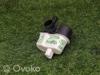 Valvula De Adsorcion De Vapor De Combustible 7L0906243 VAG