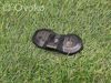 Sensor de presión de neumáticos (TPMS) 7PP907275F VAG