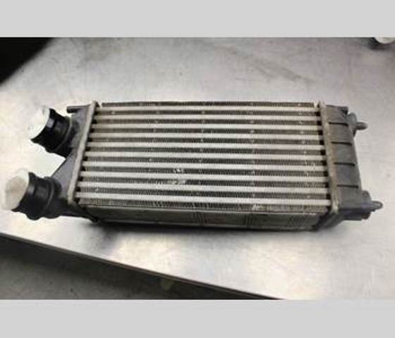 9684212480 Peugeot/Citroen