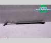 Muelle neumatico maletero GV41S406A10AB FORD