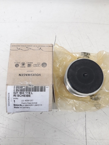 021903119L Polea del alternador  comprar en Zaragoza