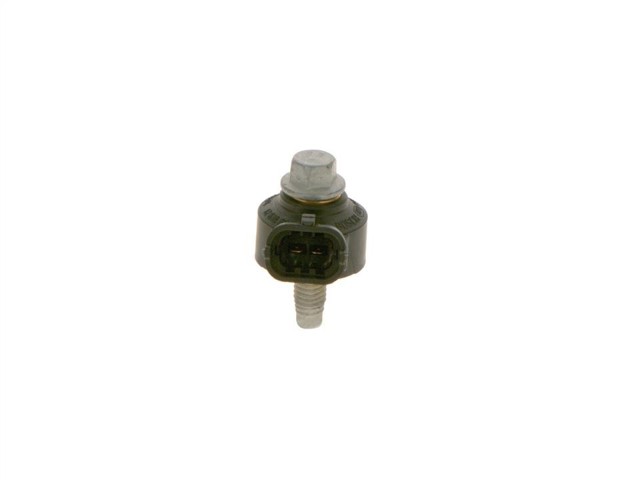 0261231174 Bosch