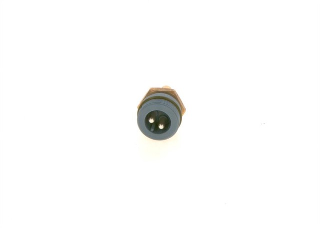 0281002232 Bosch