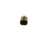Sensor de temperatura de agua 0281002744 BOSCH