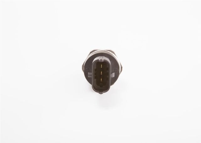 0281002907 Bosch