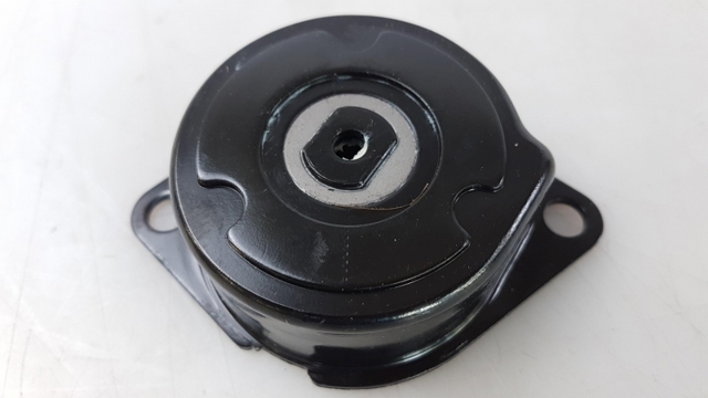 028903315R VAG Tensor de correa de alternador  en stock Córdoba