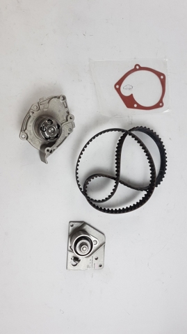 119A01812R Kit de correa de distribución  comprar en Reus