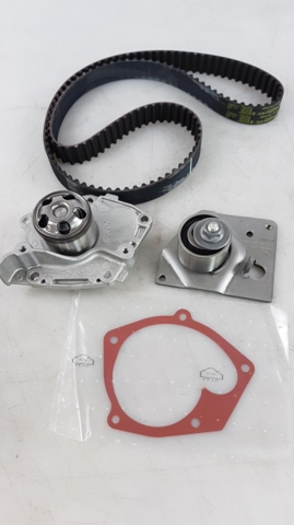 119A01877R RENAULT Kit de distribución  en stock Gandía