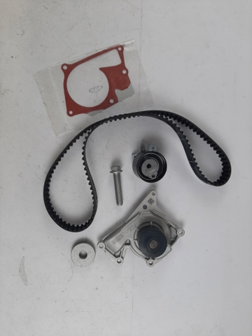 119A02552R Kit de distribución comprar Almería
