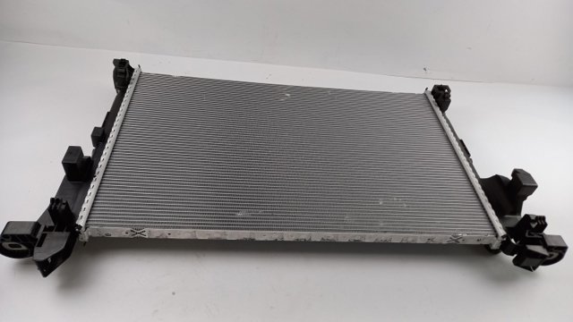 RENAULT 214106419R Radiador de refrigeración del motor  comprar en Murcia