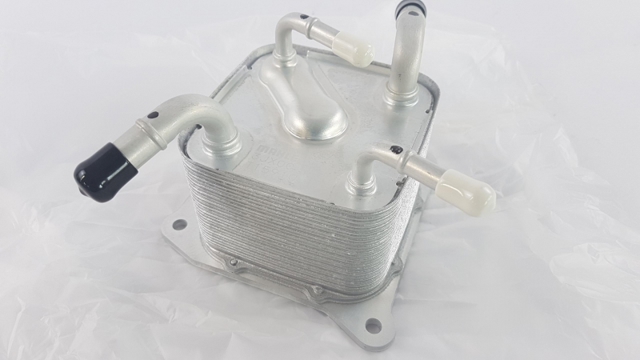 216063JX0C NISSAN Radiador de refrigeración de la transmisión  disponible Vigo