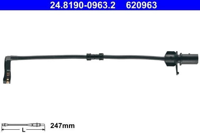 24819009632 ATE