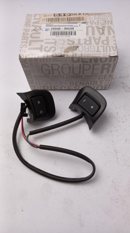 255509953R Renault (RVI)