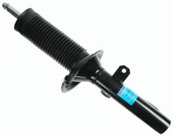 313503 Sachs