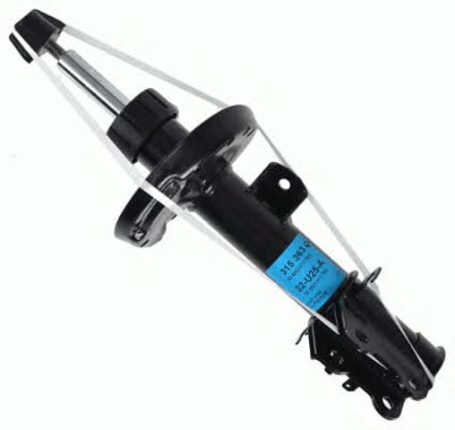 315363 Sachs