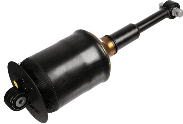 317325 Sachs