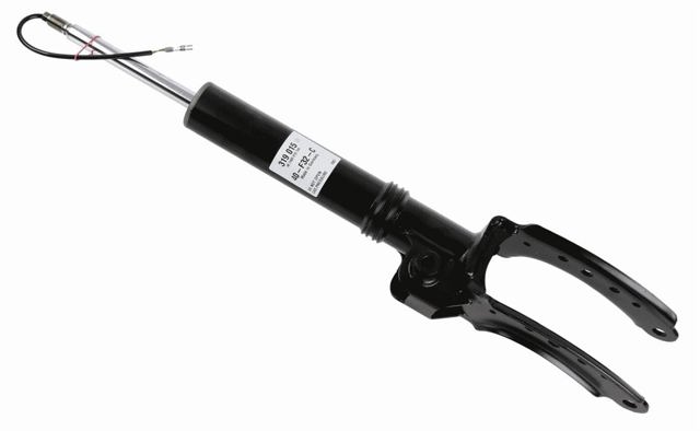 319015 Sachs