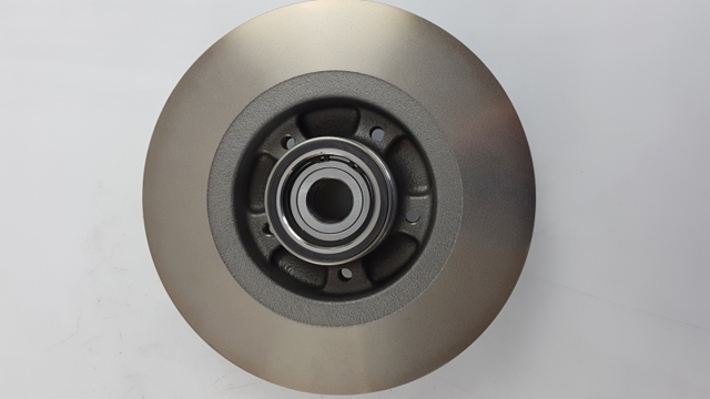432020984R RENAULT Disco de freno trasero  en stock Huelva