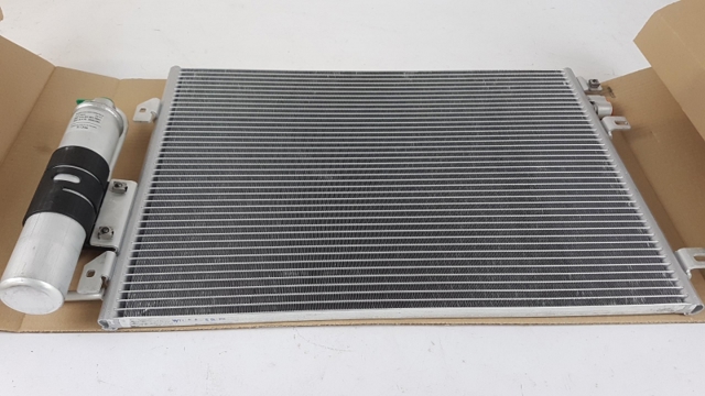 6001550660 Renault (RVI)