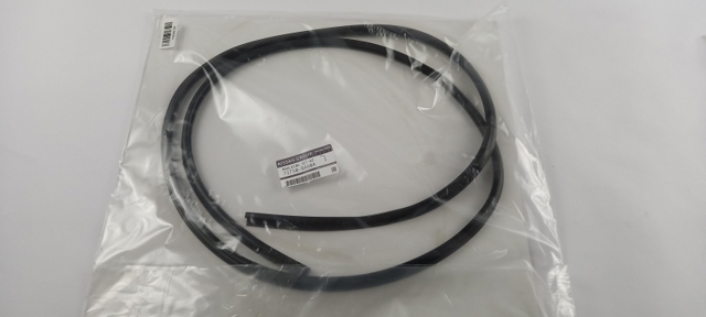 Moldura de parabrisas para Nissan JUKE F15E