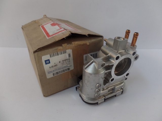 Comprar Caja de mariposa Corsa  F08