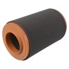 Filtro de aire de motor ADP152233 BLUE PRINT