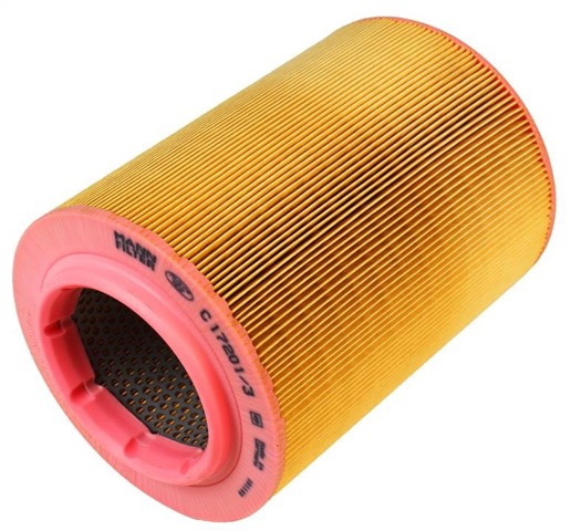C172013 Mann-Filter