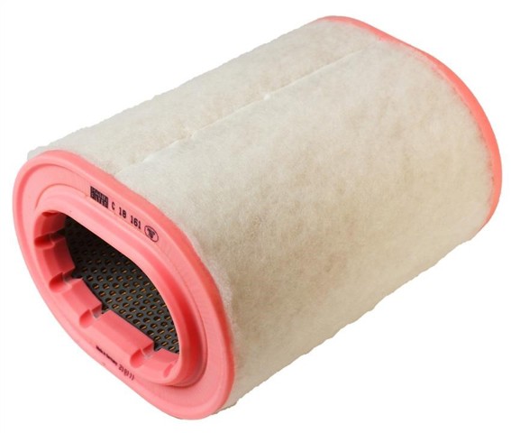 C18161 Mann-Filter