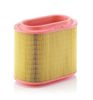 Filtro aire C24196 MANN
